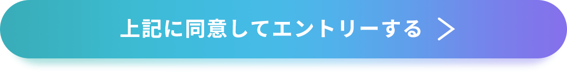 上記に同意してエントリーする
